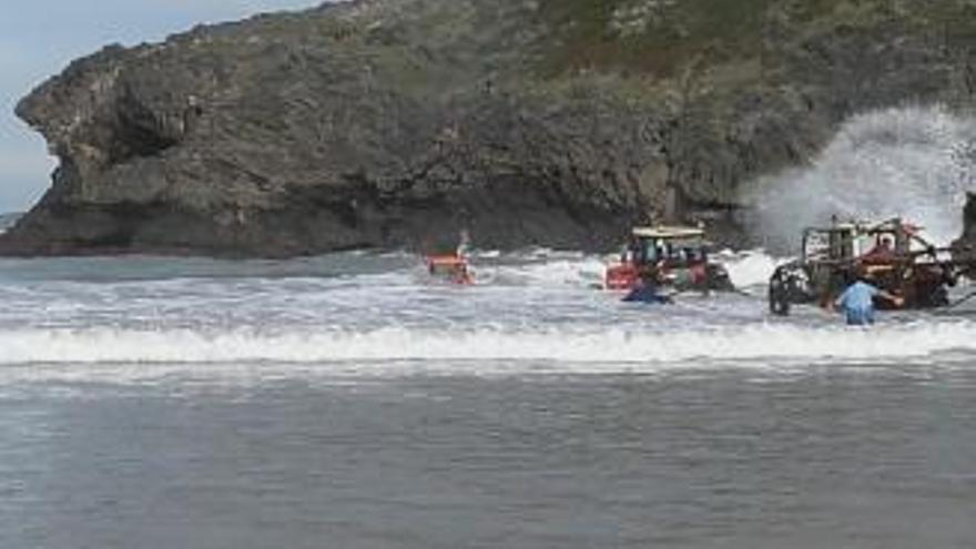 Recogida de ocle en una playa del oriente de Asturias.