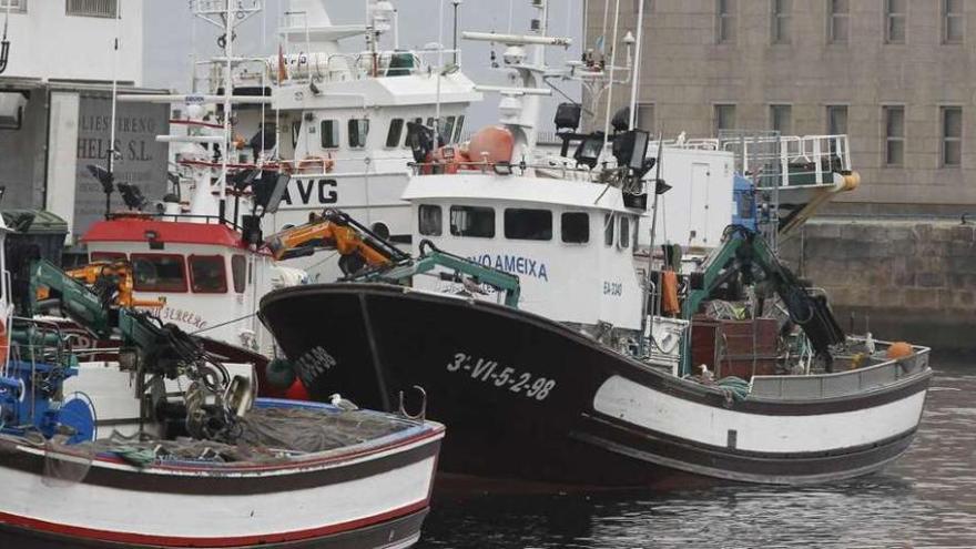 Decomisan 21.000 kilos de anchoa a dos cerqueros en O Berbés
