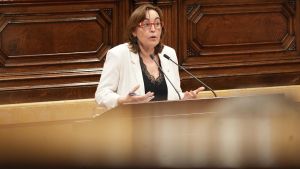 La consellera de Territori, Sílvia Paneque, en una intervención en el Parlament de Catalunya.