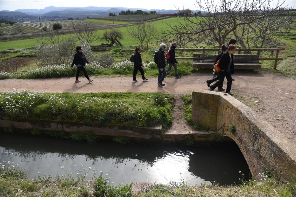 Participants en la Transèquia d'enguany.