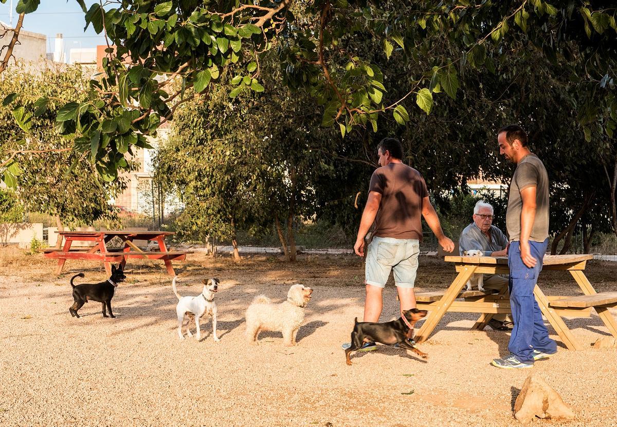 Los cambios en la ordenanza suponen un avance en la eliminación del sufrimiento animal.