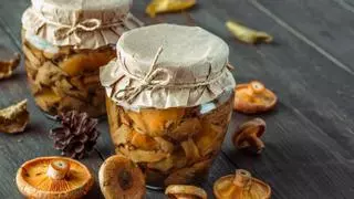 Recetas de otoño: así se preparan los níscalos