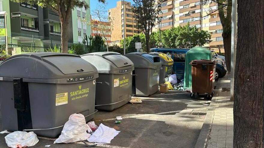 Maltrato animal en Canarias: lanza a su perro al fondo de un contenedor de basura porque estaba herido