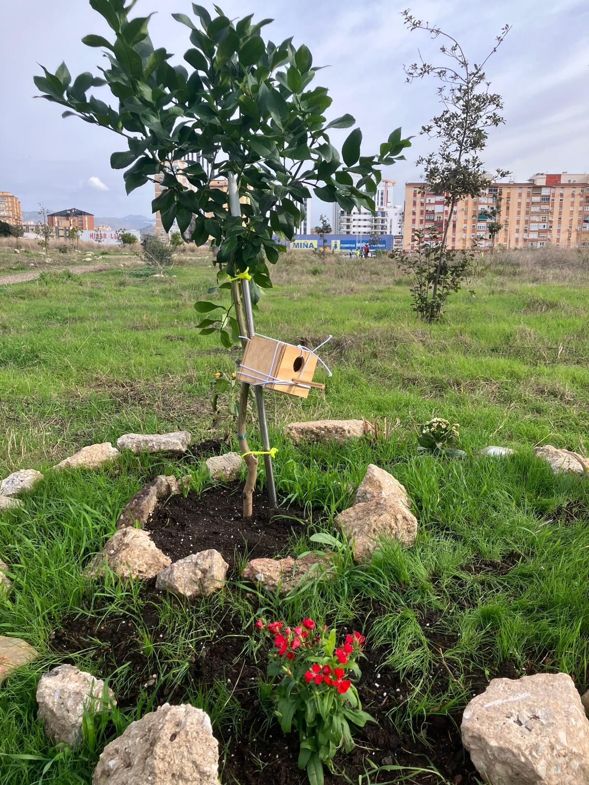 Voluntarios de la plataforma Bosque Urbano Málaga plantan 60 árbolesen los antiguos terrenos de Repsol