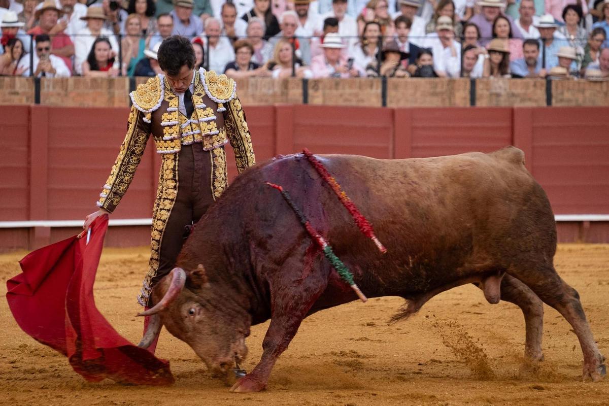 Daniel Luque corta una oreja al toro de Domingo Hernández