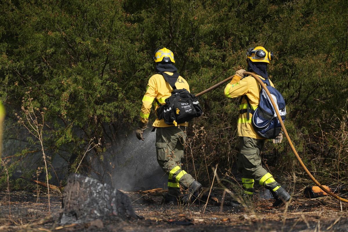 Imagen del incendio en la zona del Cerro del Carambolo en Camas (Sevilla).