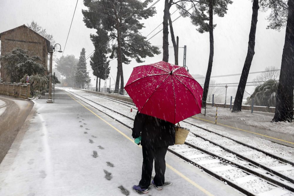 Schnee Mallorca Winter 2017