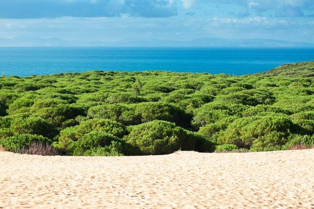 Playa de Bolonia, en Cádiz.