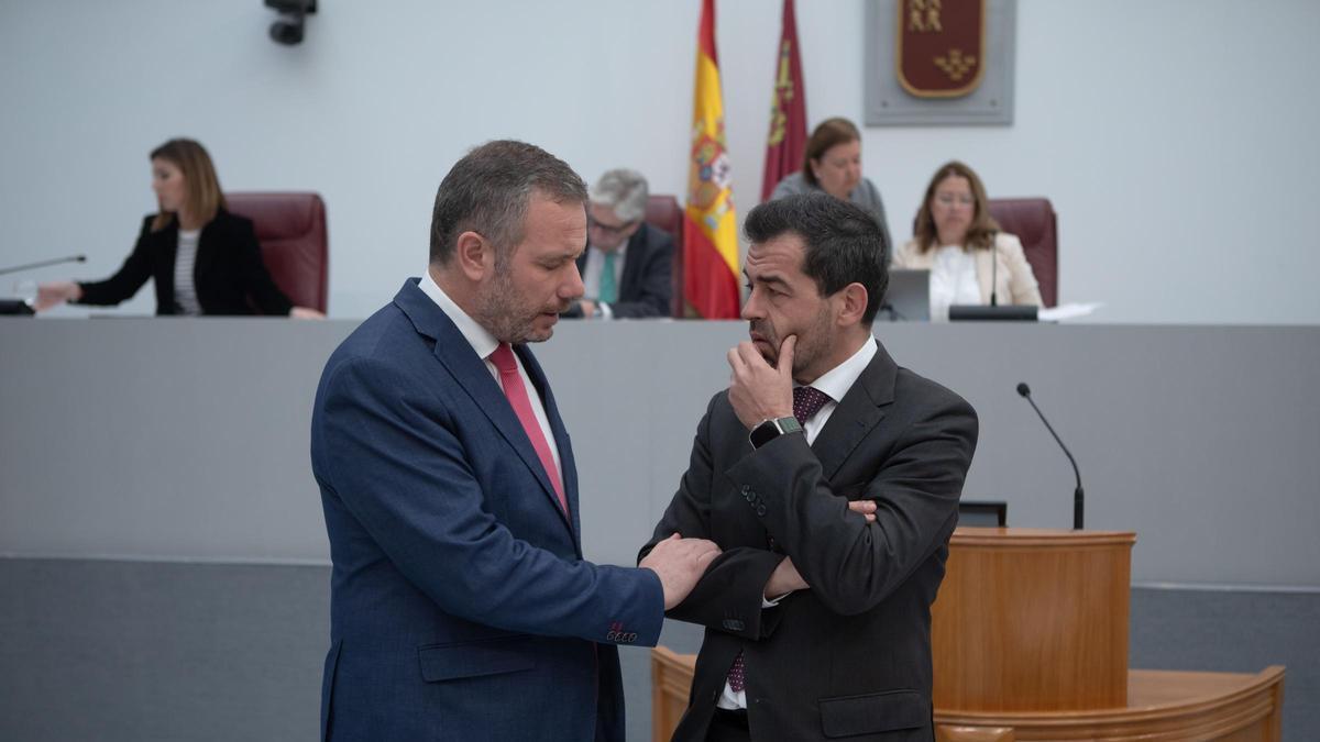 Joaquín Segado (PP) y Rubén Martínez Alpañez (Vox).