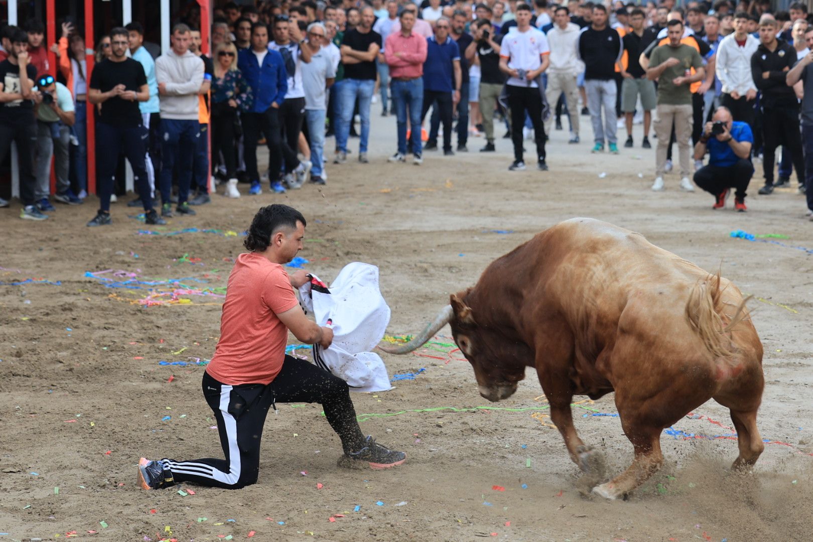 Fotos de la tarde taurina del jueves de las fiestas de Sant Pasqual en Vila-real