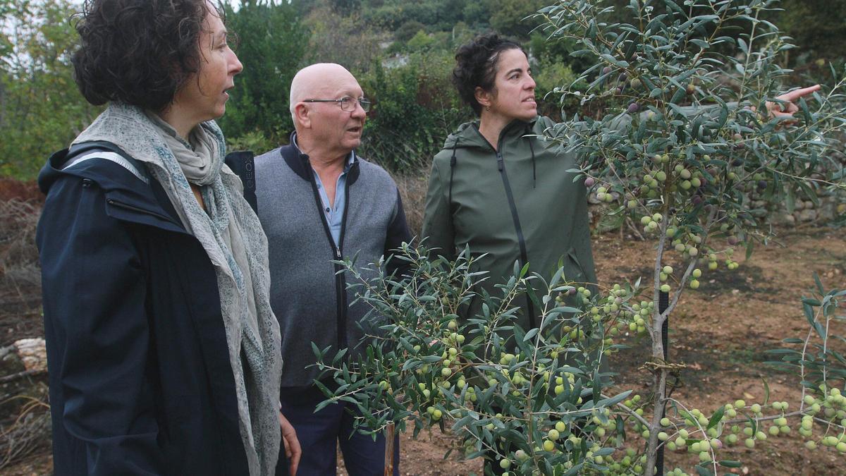 Manuel con otras miembros de la asociación de productores de Arnoia, en un olivar