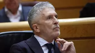 Marlaska, niega conocimiento previo del caso: “Ahora es el momento de la Justicia y todo el apoyo a la víctima”