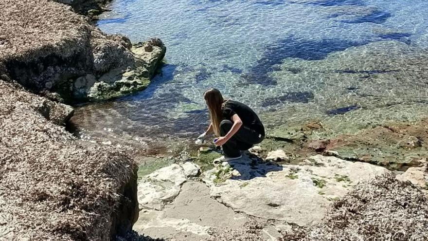 El análisis de Salvem sa Badia revela que Caló des Moro no era apta para el baño