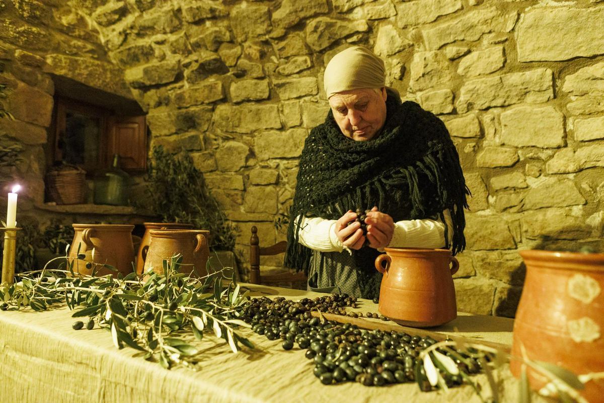 Nit Viva de Fonollosa