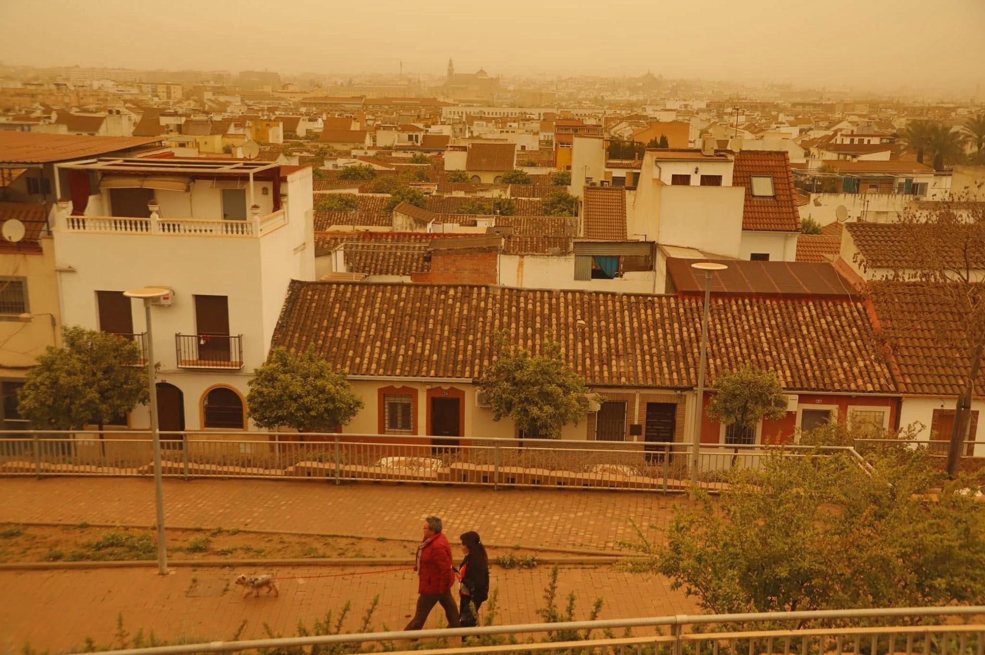 La borrasca Celia deja la ciudad cubierta de barro