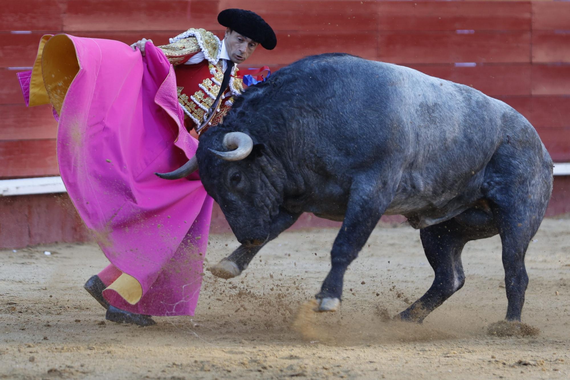 El triunfo de Daniel Luque en la Feria de Fallas