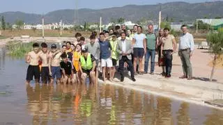 Habilitado un humedal urbano en el parque del Canal con más de 2.000 ejemplares de flora acuática autóctona