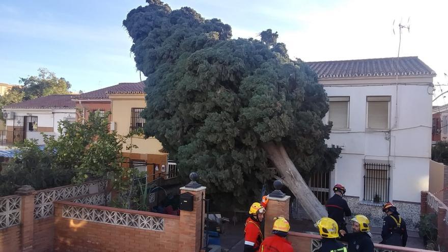 El fuerte viento causa al menos dos heridos en Málaga capital
