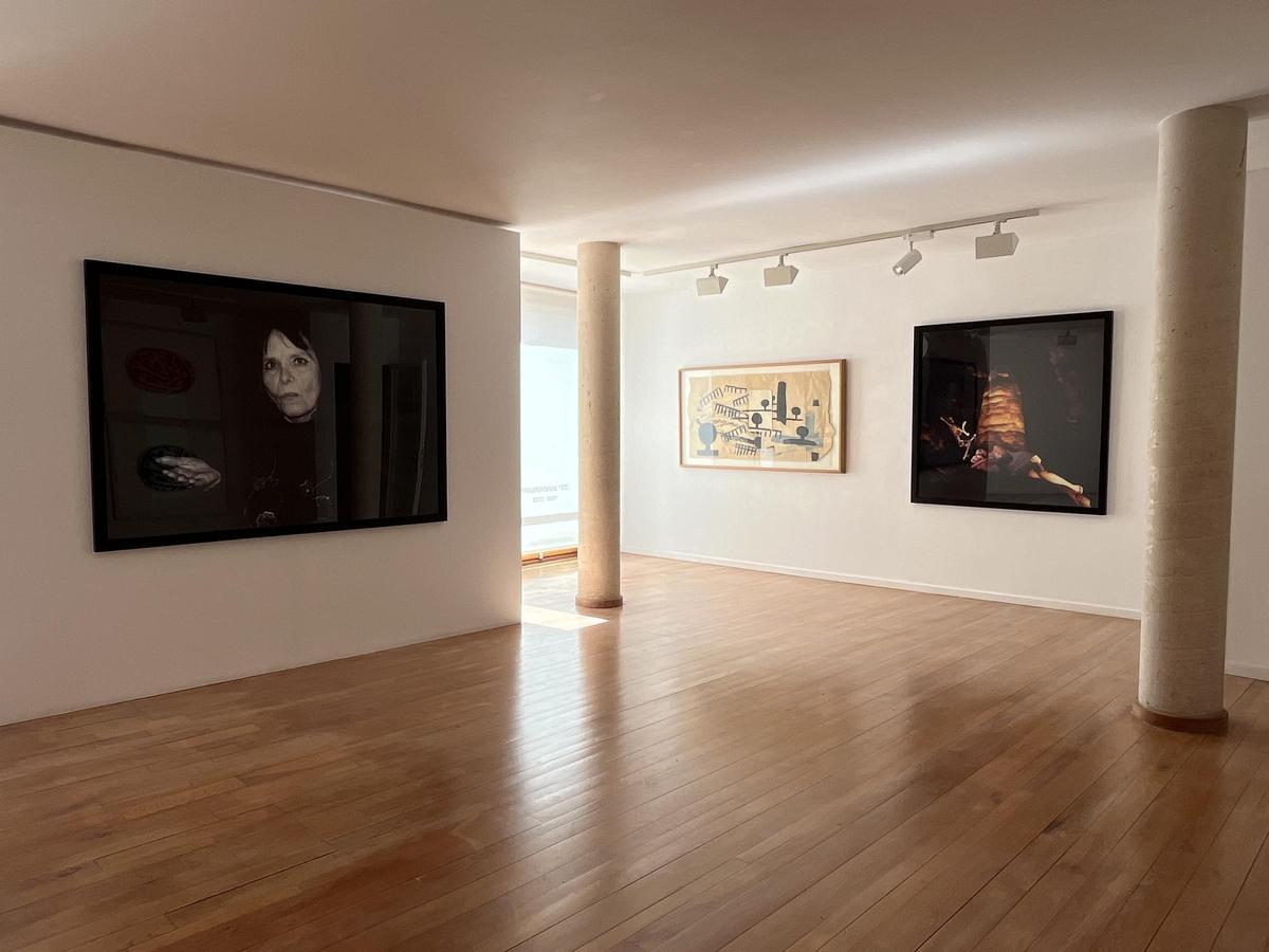 'La voluntat del paper', exposición que conmemora estos 35 años.