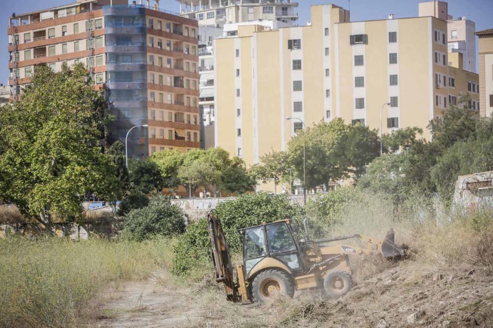 El futuro bosque urbano de Palma, en marcha