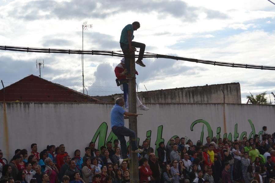 Carrera del Enmaromado 2016