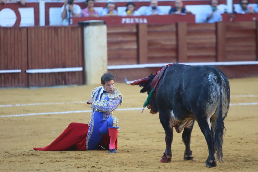 Toros | Novillada de la Feria Taurina de 2018