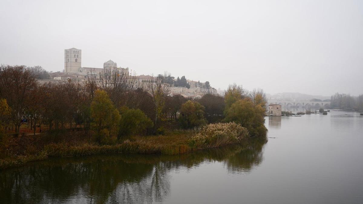 Un día de niebla en Zamora.