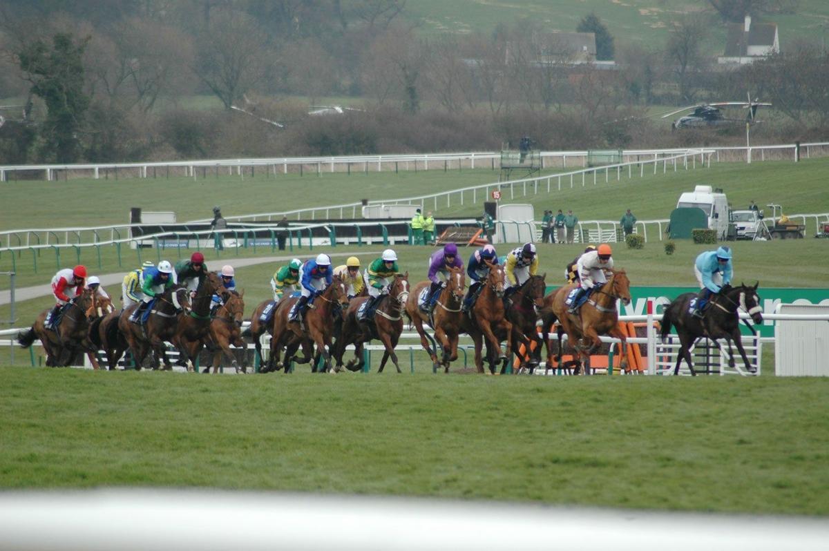 Celebración de la Cheltenham Gold Cup