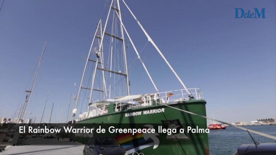 El 'Rainbow Warrior' de Greenpeace llega a Palma