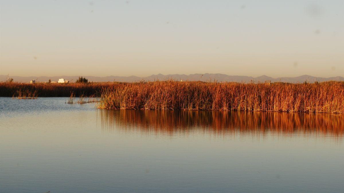 Ruta ALbufera: Tancat de la Pipa