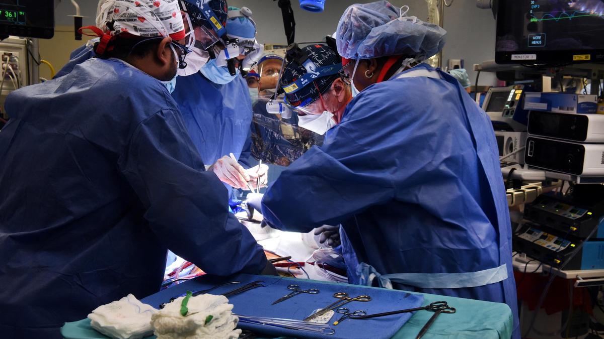 Surgeon performs pig heart transplant in Baltimore