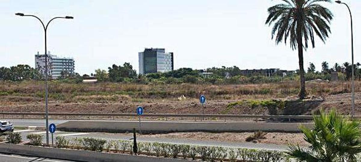 Vista de parte de las fincas en las que se debe retirar la tierra de la autovía con dos hoteles del Grupo de Empresas Matutes al fondo.
