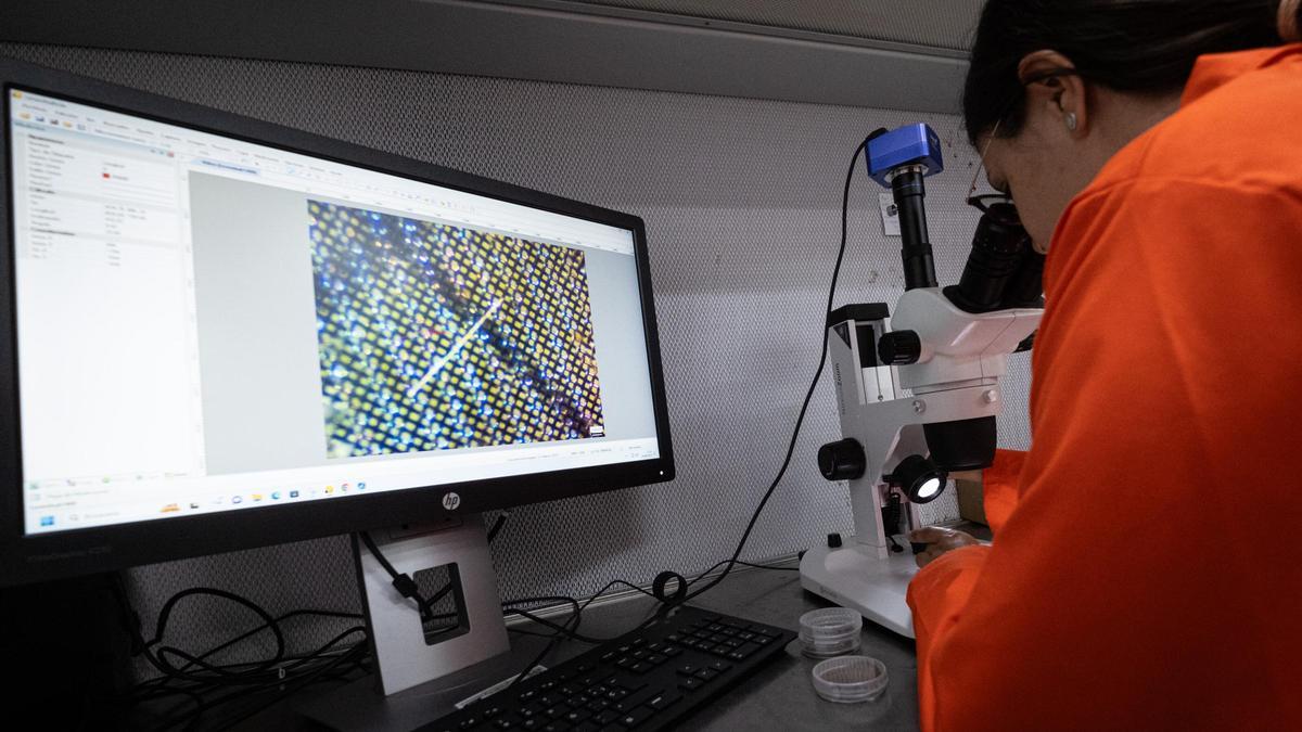 Una joven investigadora en un laboratorio de la Universidad de La Laguna.