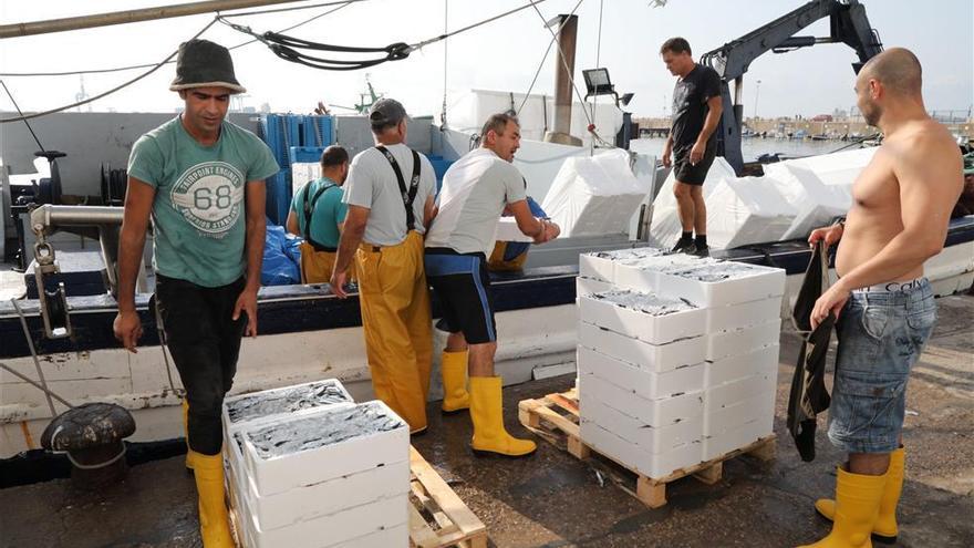 La renovación de los fondos dispara la pesca en Castellón