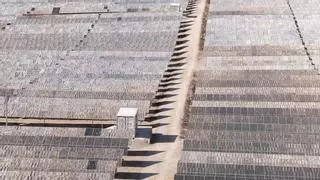 El Ayuntamiento de Elche autoriza dos plantas solares más en Perleta y Saladas