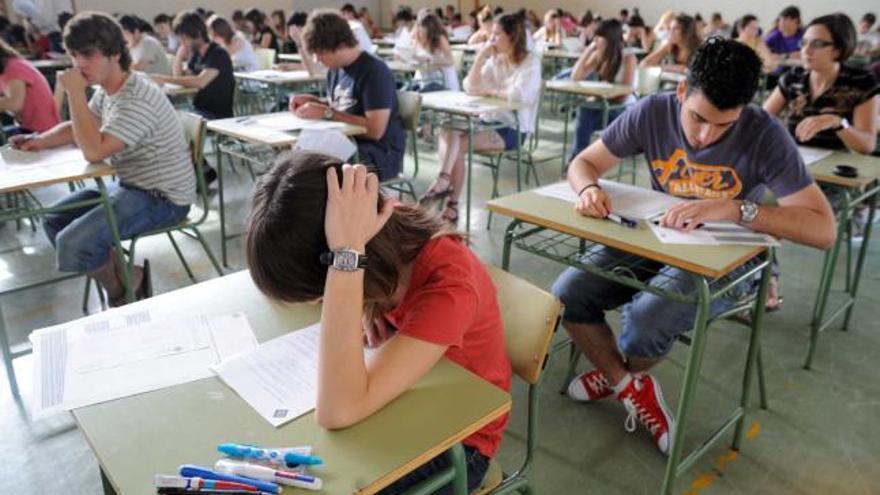 El 12% de los estudiantes que hicieron selectividad en junio estudiaron Humanidades.