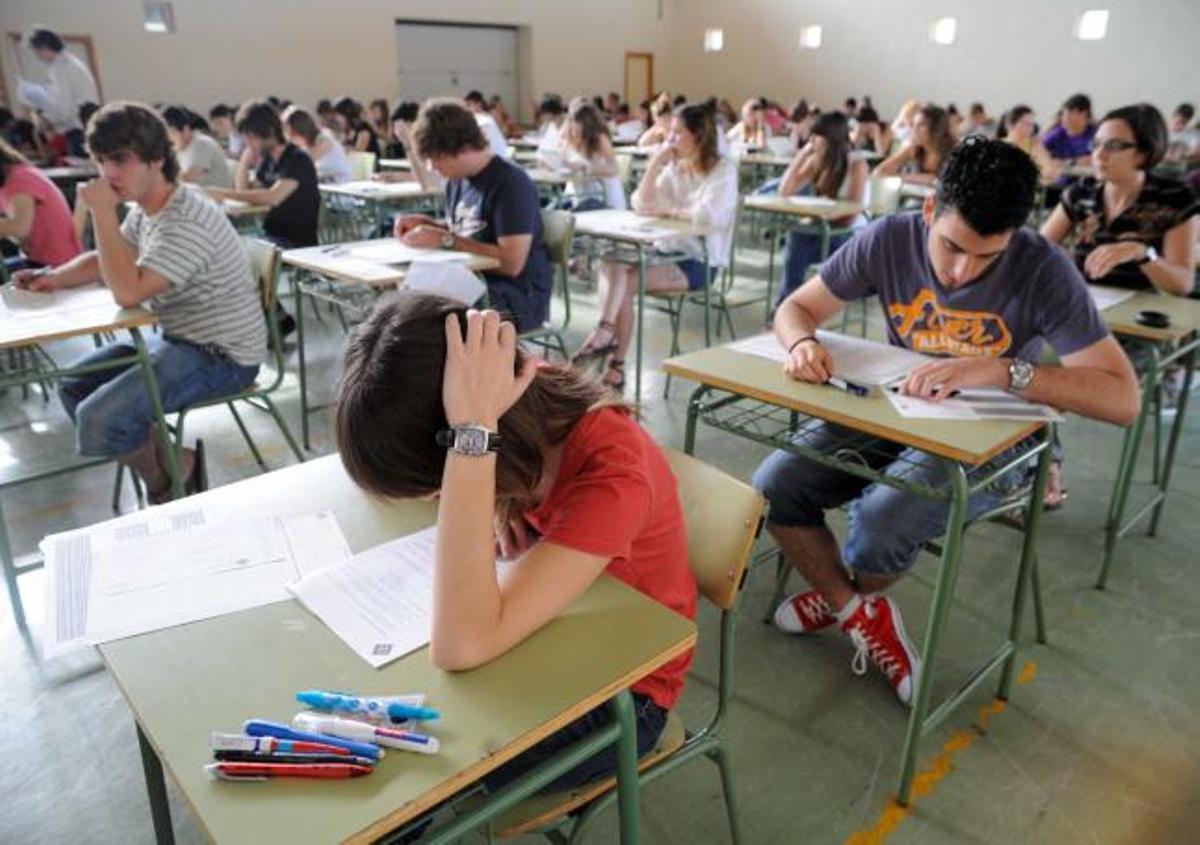 El 12% de los estudiantes que hicieron selectividad en junio estudiaron Humanidades.