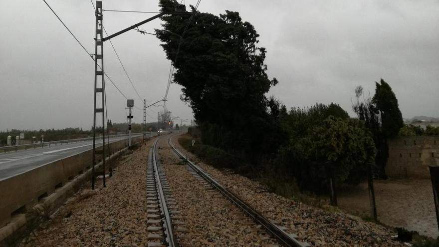 La caída de árboles por el temporal obliga a cortar carreteras y la red ferroviaria