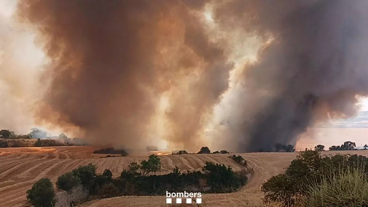 Un incendio de campos agr赤colas de Lleida obliga a confinar m芍s de tres horas la poblaci車n de Cervera