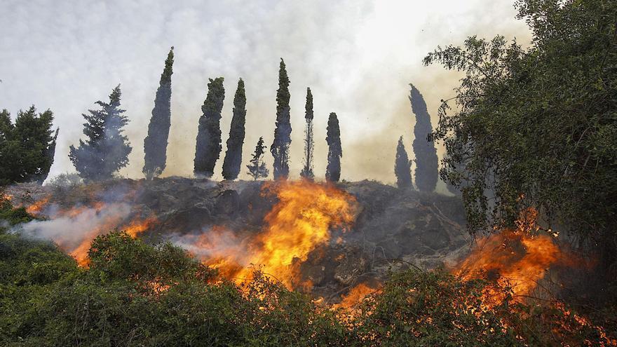 BBVA apoya a los afectados por los incendios de la  Vall d’Albaida y La Safor con una línea de financiación de 18 millones de euros