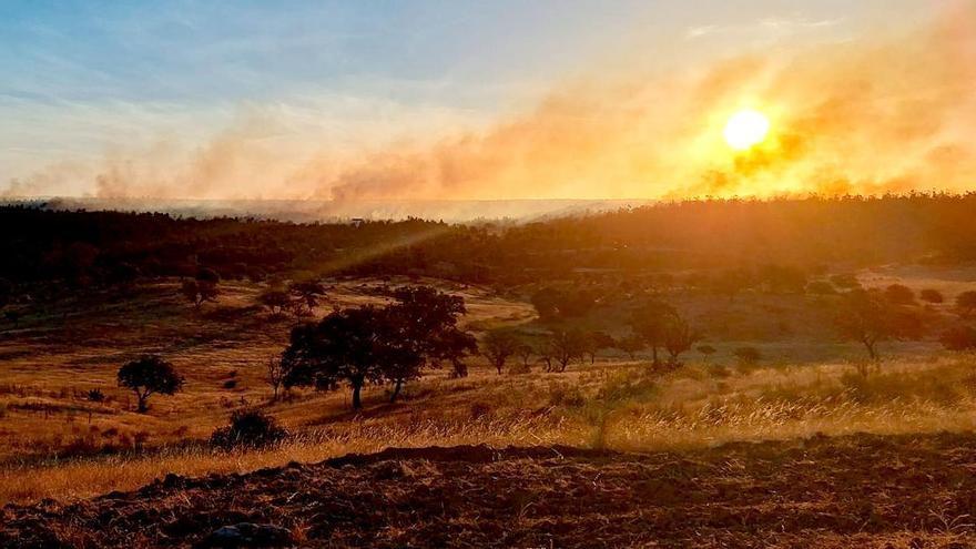 Un incendio en Huelva moviliza medios aéreos y terrestres con 1.000 hectáreas quemadas según el alcalde: 