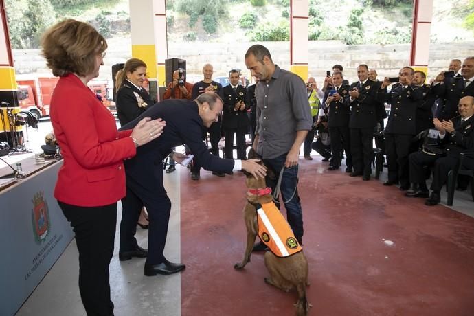 08.03.19. Las Palmas de Gran Canaria. Acto de entrega de Honores y Distinciones Bomberos de Las Palmas de GC. Foto Quique Curbelo