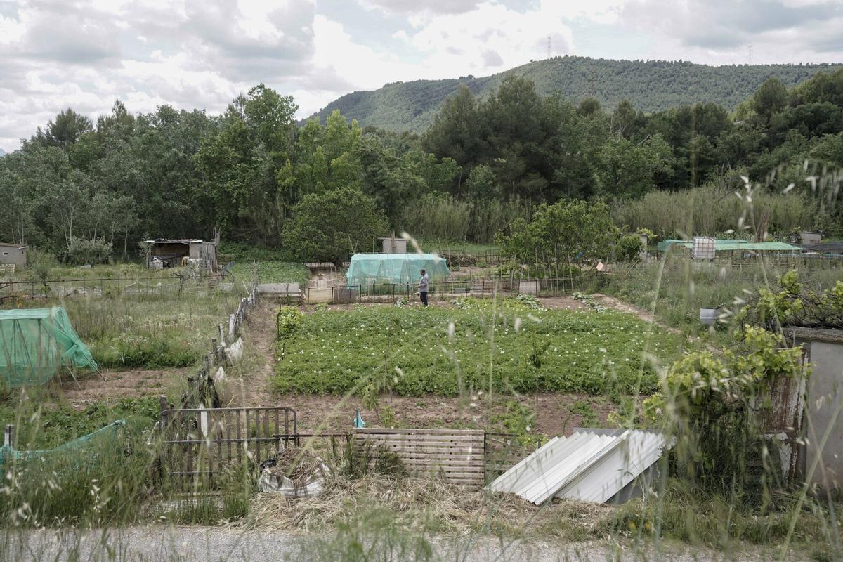 Imatge de la Font, a Callús, on es vol fer una nova zona verda