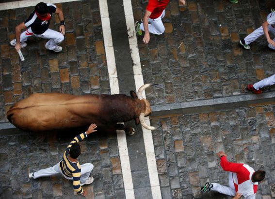 Un zamorano en San Fermín