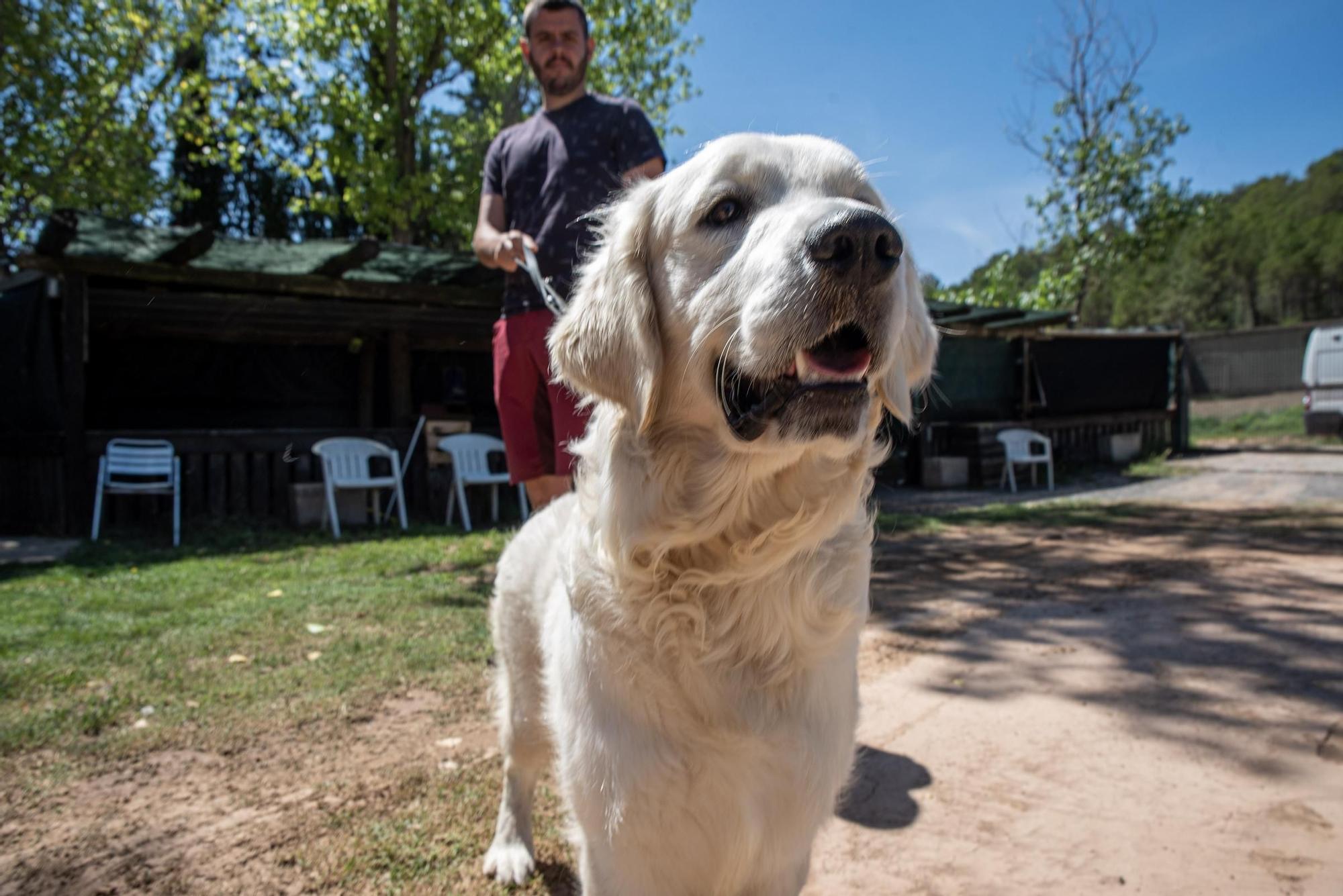 Residències canines:  Tres Pins de Balsareny