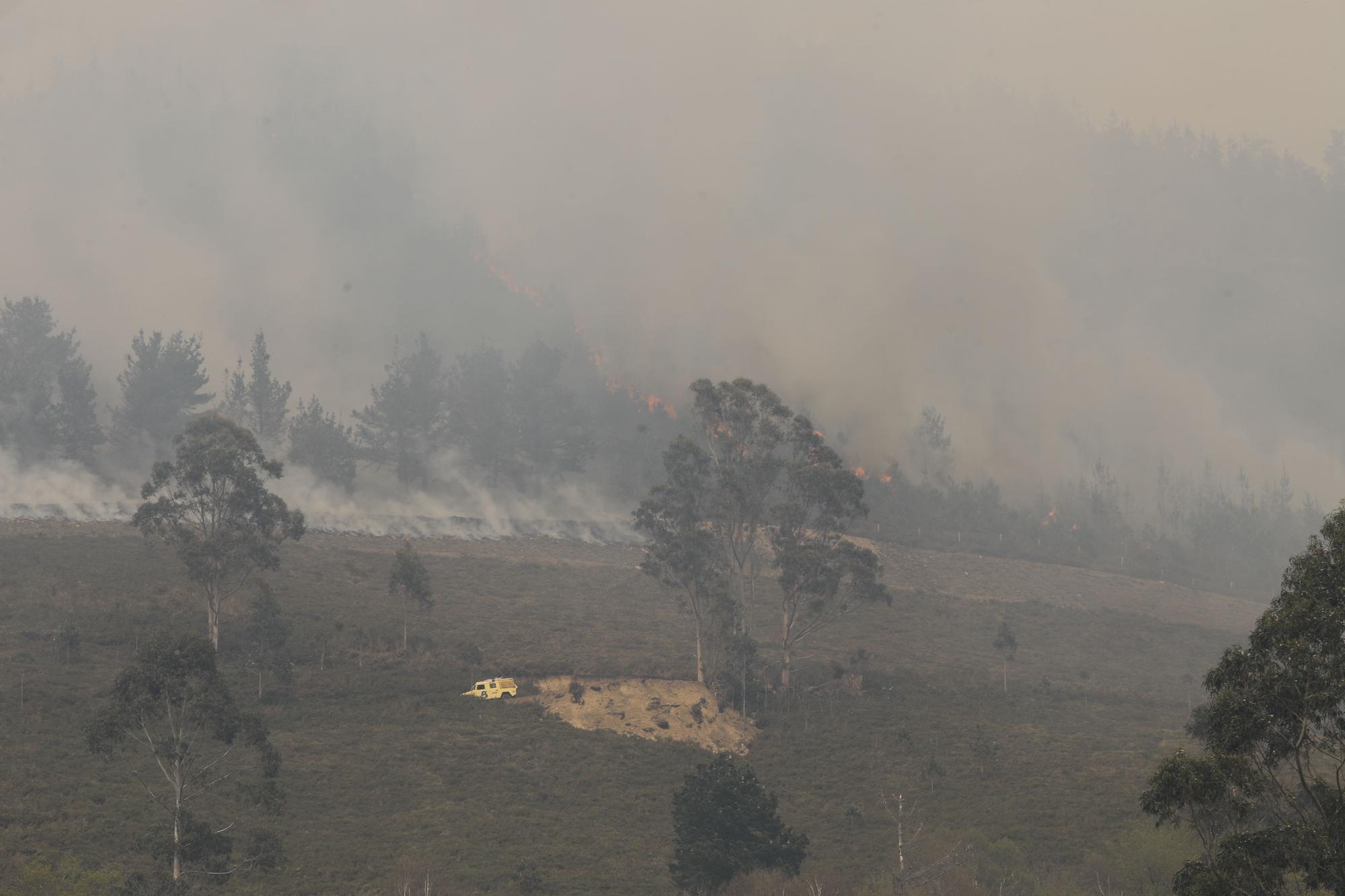 Incendio en la zona de Ques en Piloña