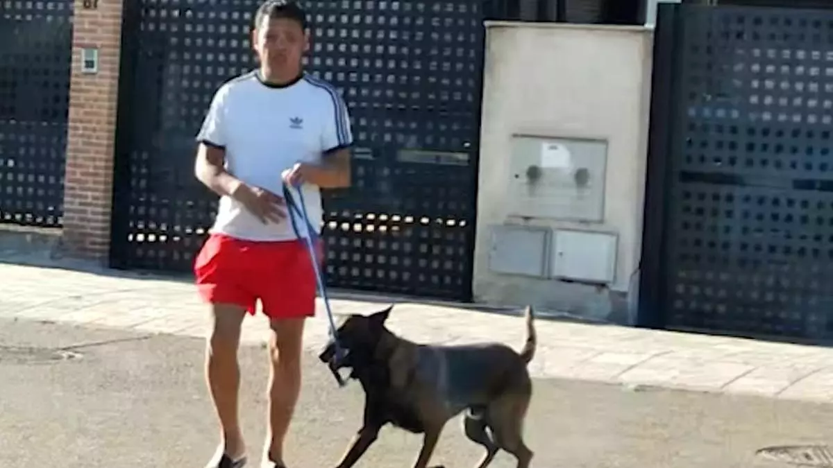 Vídeo: así cayó el capo de la mafia china que se había escondido en Madrid