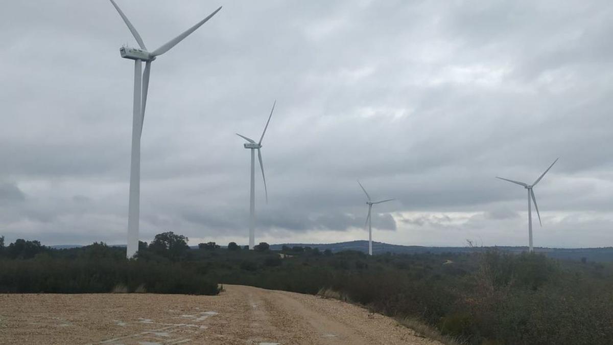 Parque eólico de “Valdelanave I”. | Ch. S.