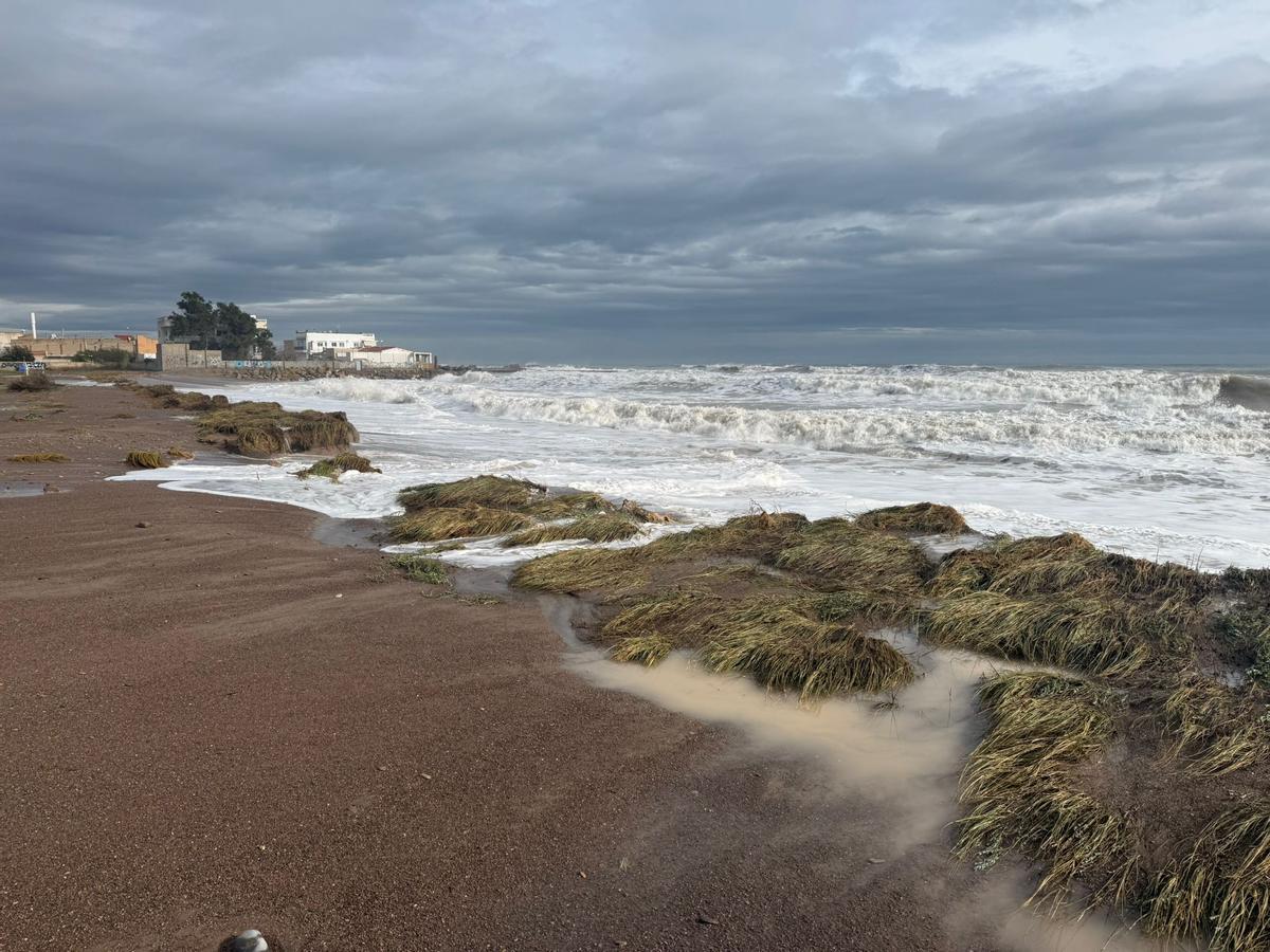 El temporal pone en jaque un camping de Sagunt