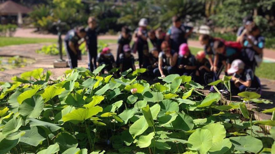 Los alumnos visitan las instalaciones de La Concepción y conocen muchas plantas y sus características.